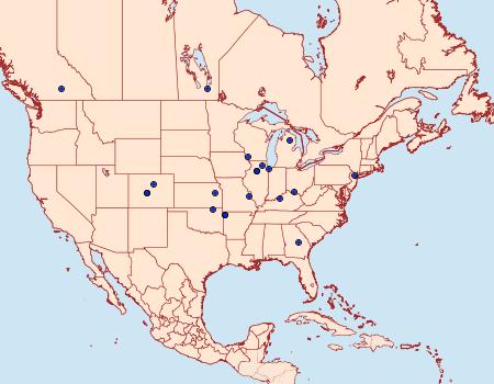 Distribution Data for Neodactria murellus