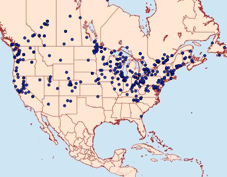 Distribution Data for Chrysoteuchia topiarius