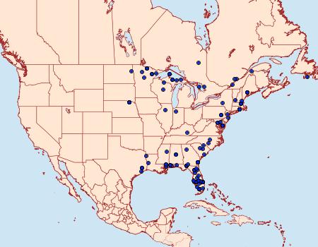 Distribution Data for Raphiptera argillaceellus