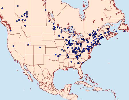 Distribution Data for Agriphila ruricolellus