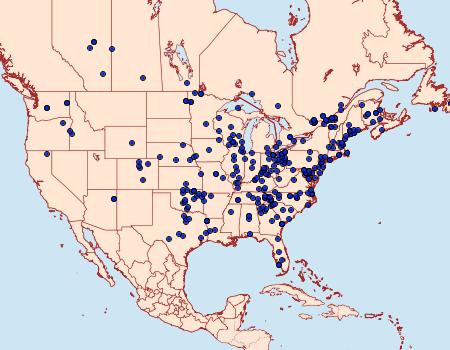 Distribution Data for Agriphila vulgivagellus