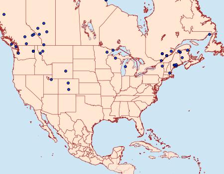 Distribution Data for Catoptria latiradiellus