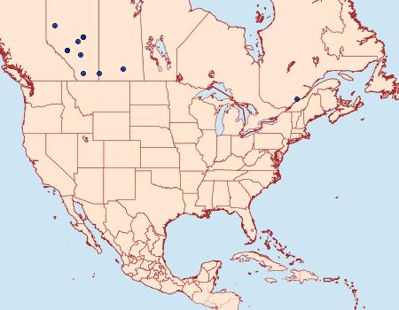 Distribution Data for Pediasia aridella