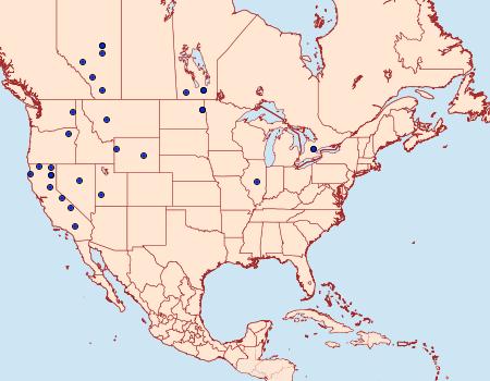 Distribution Data for Pediasia dorsipunctellus