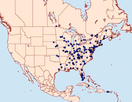 Distribution Data for Microcrambus biguttellus