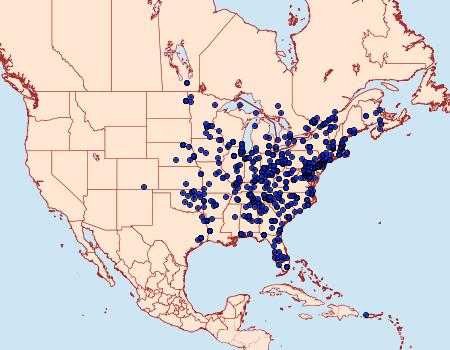 Distribution Data for Microcrambus elegans