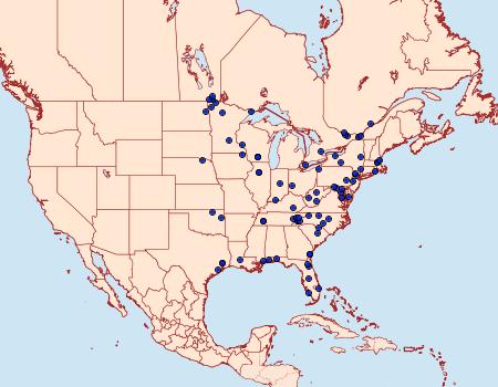 Distribution Data for Microcrambus minor