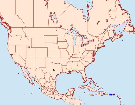 Distribution Data for Fissicrambus fissiradiellus