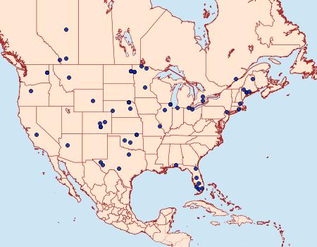 Distribution Data for Thaumatopsis pexellus