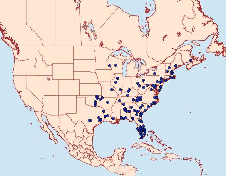 Distribution Data for Parapediasia decorellus