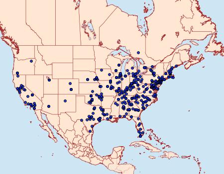 Distribution Data for Parapediasia teterrellus