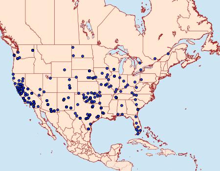 Distribution Data for Euchromius ocellea