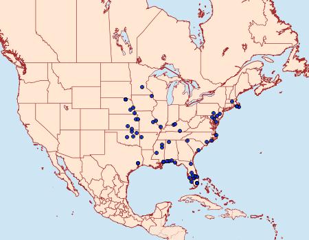 Distribution Data for Argyria nummulalis