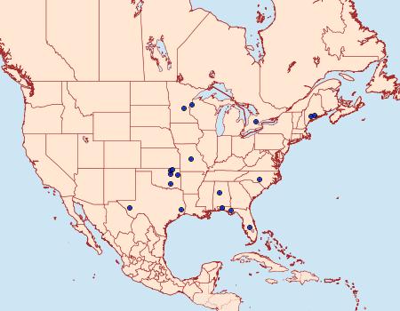 Distribution Data for Argyria rufisignella