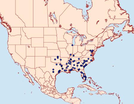 Distribution Data for Argyria gonogramma