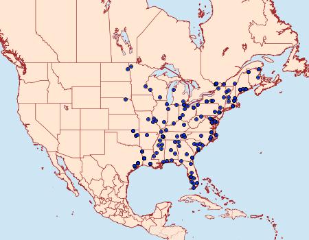 Distribution Data for Vaxi critica