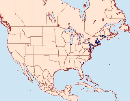 Distribution Data for Epina alleni