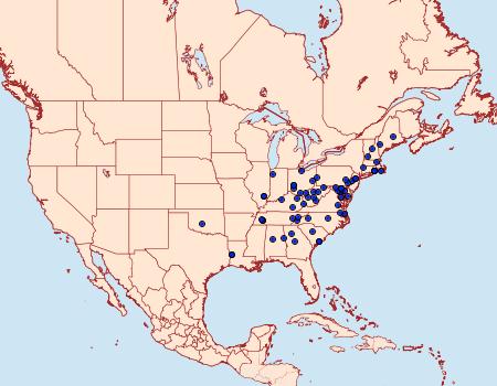 Distribution Data for Haimbachia placidellus