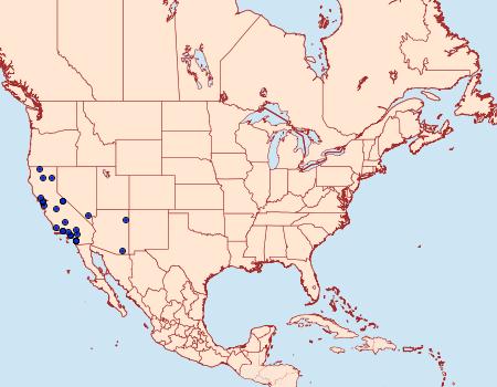 Distribution Data for Aglossa cacamica