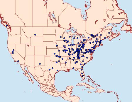 Distribution Data for Aglossa cuprina