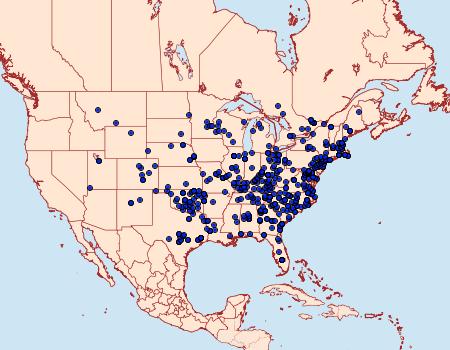 Distribution Data for Hypsopygia olinalis