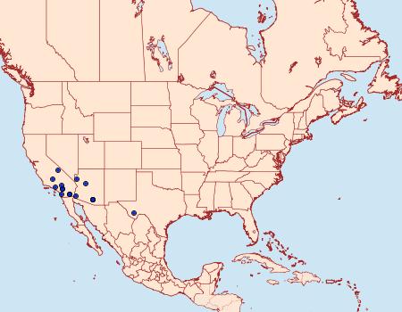 Distribution Data for Arispe cestalis