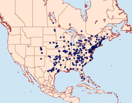 Distribution Data for Galasa nigrinodis