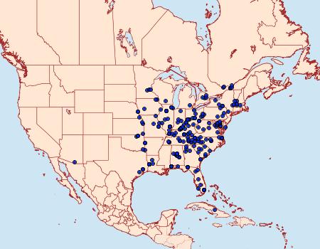 Distribution Data for Tosale oviplagalis