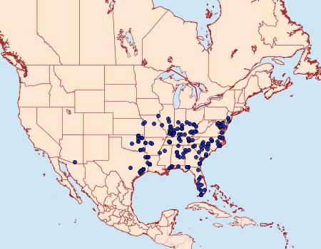 Distribution Data for Clydonopteron sacculana