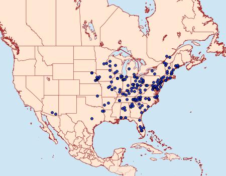 Distribution Data for Arta statalis