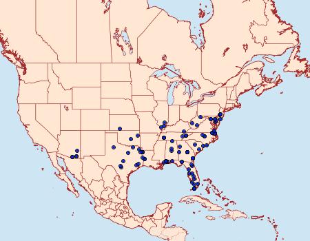 Distribution Data for Arta olivalis