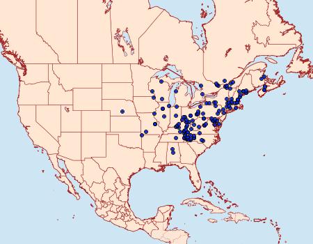 Distribution Data for Condylolomia participialis