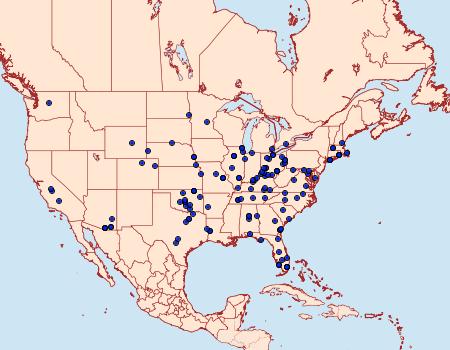 Distribution Data for Macalla zelleri