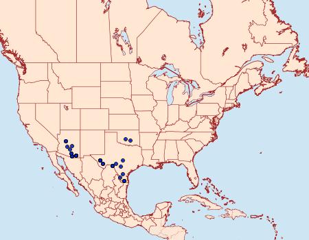 Distribution Data for Cacozelia basiochrealis