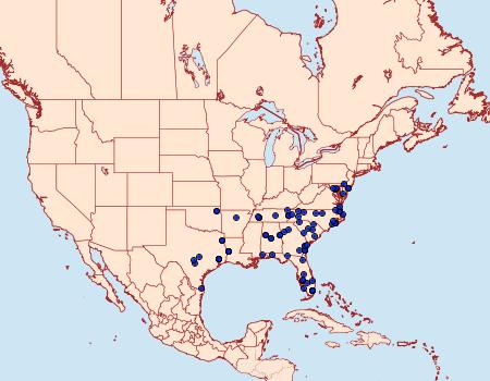 Distribution Data for Tallula atrifascialis