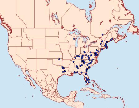 Distribution Data for Pococera robustella