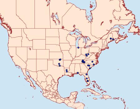 Distribution Data for Pococera melanogrammos