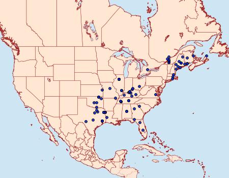 Distribution Data for Pococera maritimalis