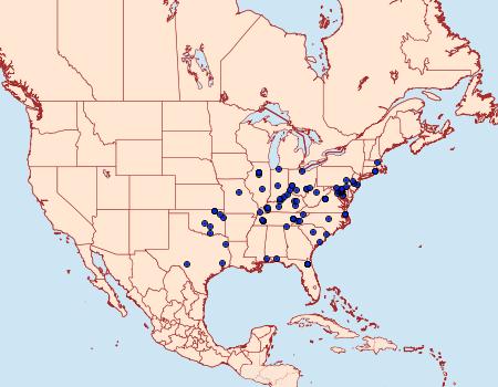 Distribution Data for Pococera militella