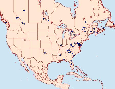 Distribution Data for Pococera aplastella