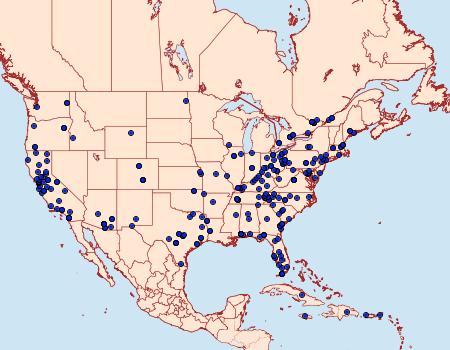 Distribution Data for Galleria mellonella