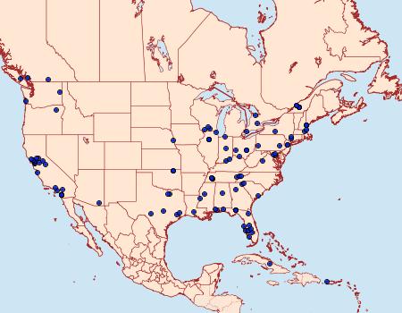 Distribution Data for Achroia grisella