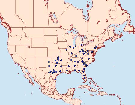 Distribution Data for Omphalocera cariosa