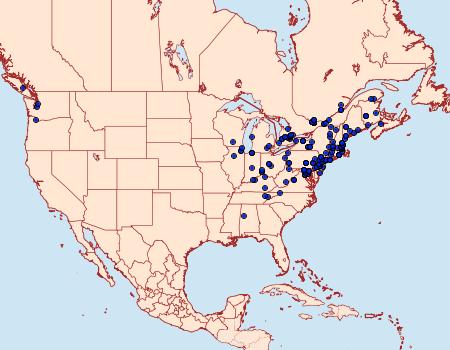 Distribution Data for Aphomia sociella