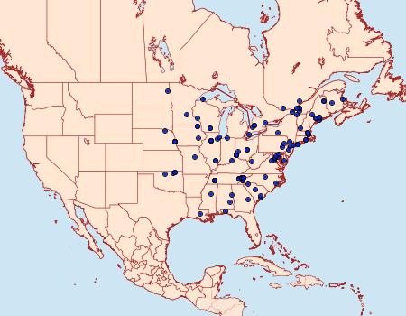 Distribution Data for Aphomia terrenella