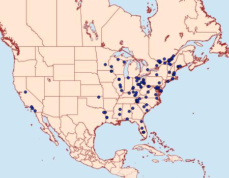 Distribution Data for Acrobasis indigenella