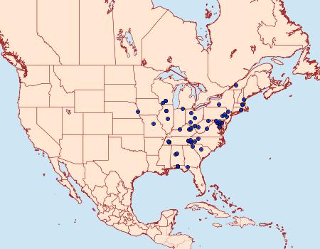 Distribution Data for Acrobasis stigmella