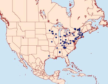 Distribution Data for Acrobasis angusella