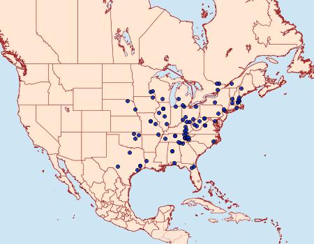 Distribution Data for Acrobasis demotella