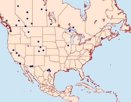 Distribution Data for Myelopsis minutulella